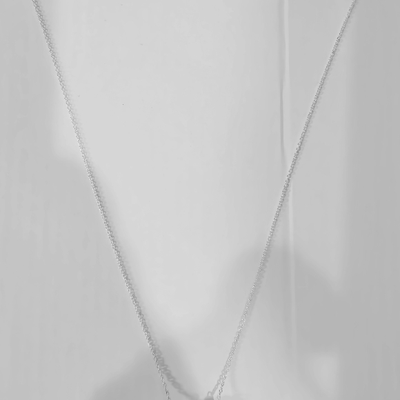 Tiffany & Co. Sterling Silver Camera Pendant Necklace - Picture 2 of 4